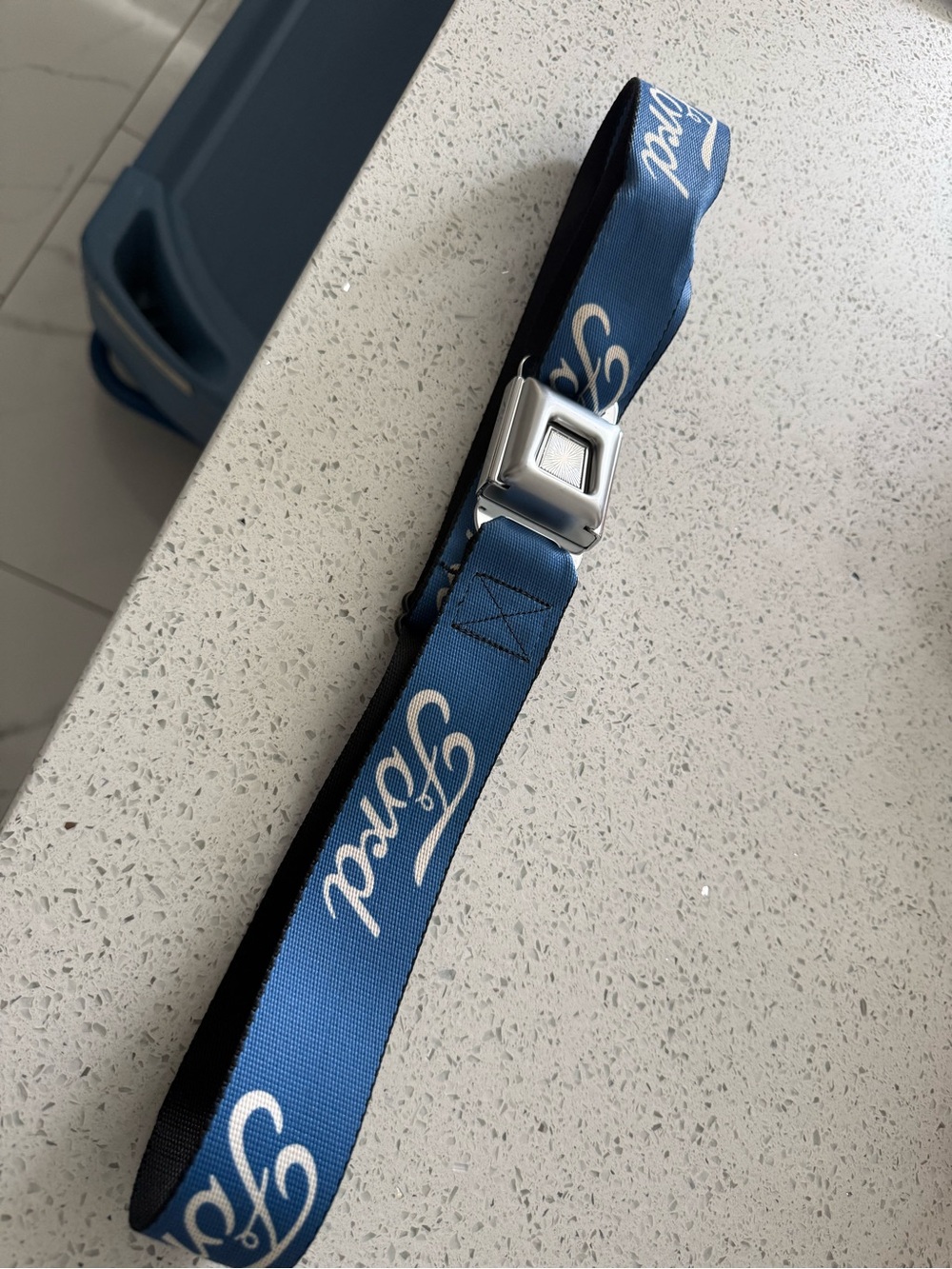 Buckle-Down Blue Webbing Belt with Silver Seatbelt Buckle